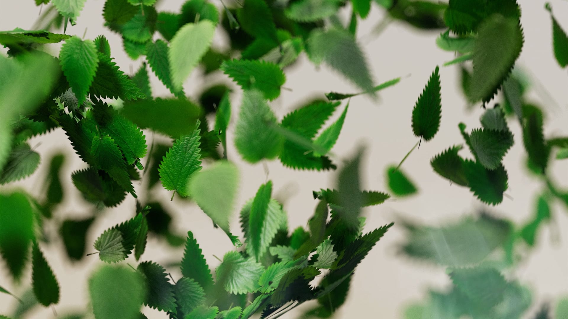 Flow_full_QF (90216)