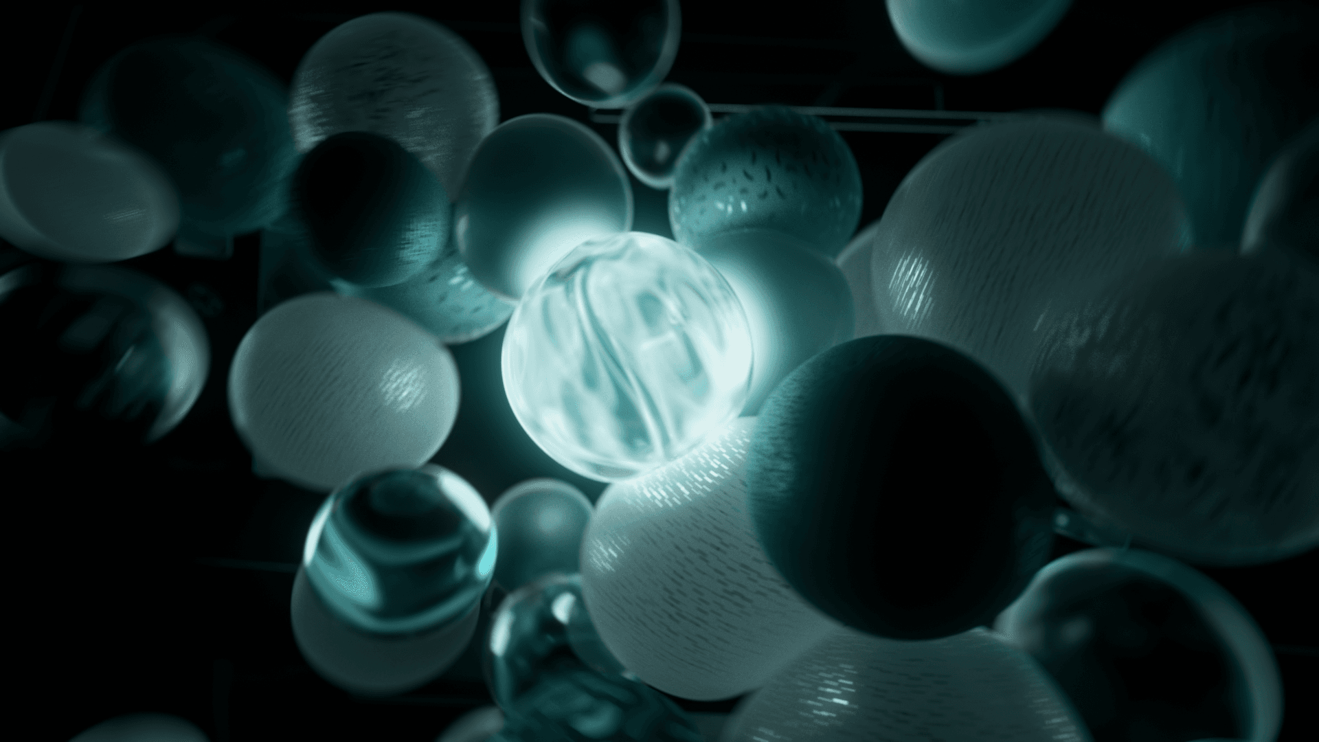 Nevis_EN (00407) – Kopie Nevis_EN (00407) – Kopie